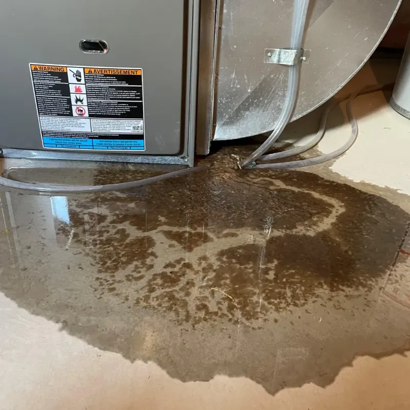 Appliance Leak Cleanup in New Market, AL